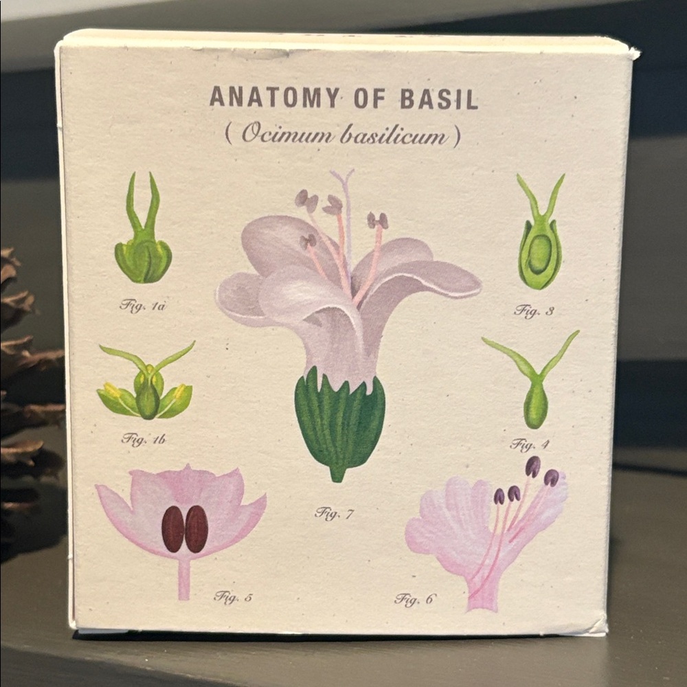 Basil Plant the Box Soy Candle 9 oz - Picture 7 of 13